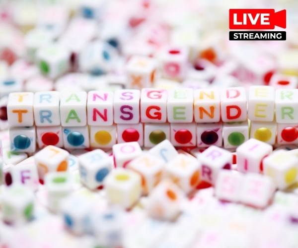 Best Trans Cam Categories for Every Visitor